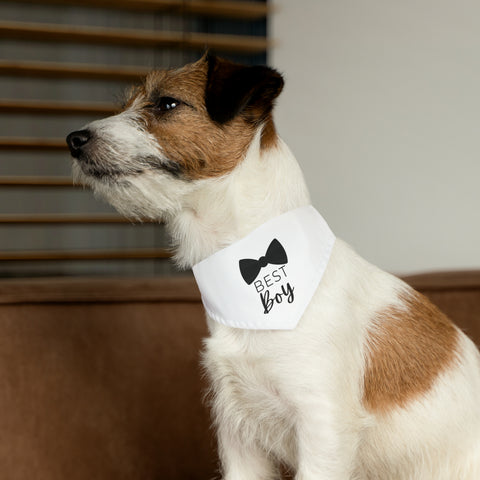 Best Boy Pet Bandana Wedding Day Outfit