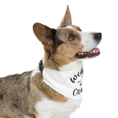 Wedding Crasher Pet Bandana Wedding Day Outfit