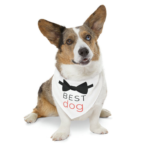 Best Dog Bandana Wedding Day Outfit