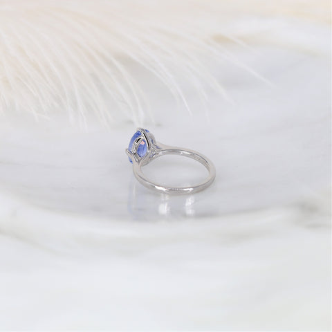 2.68cts Ready to Ship Reese 14kt White Gold Indigo Winter Galaxy Sapphire Compass Set Oval Solitaire Ring - Rosados Box