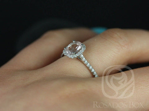 Ready to Ship Romani 7x5mm Platinum Morganite Diamonds Cushion Halo Ring - Rosados Box