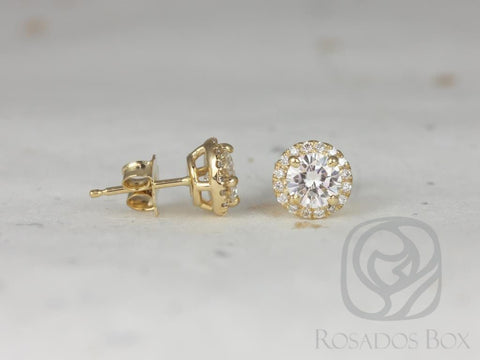 SALE Ready to Ship Gemma 5mm 14kt ROSE Gold Round Forever Brilliant Moissanite Diamonds Halo Stud Earrings - Rosados Box