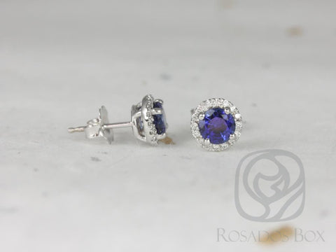 Ready to Ship Gemma 5mm 14kt White Gold Blue Sapphire and Diamonds Halo Stud Earrings - Rosados Box