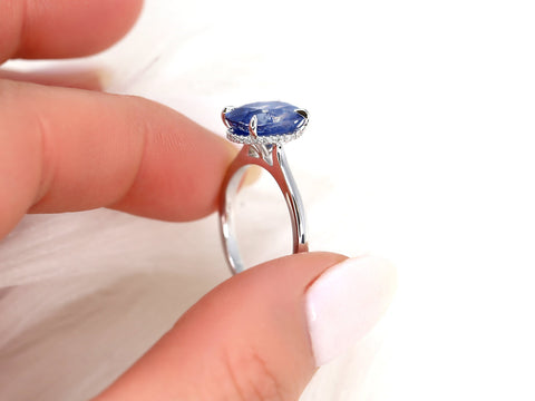 3.78ct Ready to Ship Hayden 14kt White Gold Ombre Blue Sapphire Diamond Hidden Halo Oval Ring