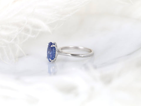 3.78ct Ready to Ship Hayden 14kt White Gold Ombre Blue Sapphire Diamond Hidden Halo Oval Ring