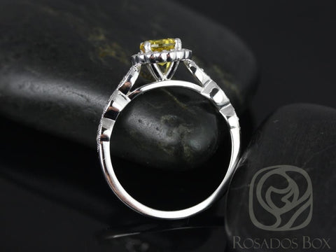 Ready to Ship Sunny 6mm 14kt White Gold Yellow Sapphire Diamond WITH Milgrain Flower Halo Ring - Rosados Box