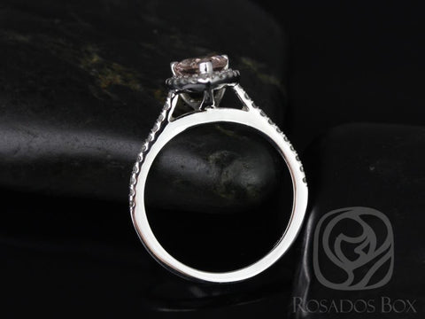 Ready to Ship Tabitha 8x6mm 14kt White Gold Morganite Diamond Pear Halo Ring - Rosados Box